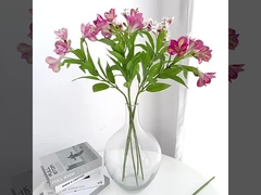 가벼운 고급 꽃꽃차례 장식 모의 다포디와 함께 거실과 식탁