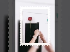 여신 단 하나 작은 꽃다발 포장 투명 오프 방수 필름 포장 꽃 종이 DIY 메이트