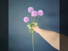 맞춤형 장미 빨간색 결혼식 시뮬레이션 꽃 별빛 하늘 호트랑지아 고구마 장미 라벤더 반딧불이