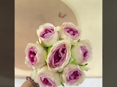 인스 스타일의 장미 꽃, 꽃차례, 발렌타인 데이 사진 촬영,