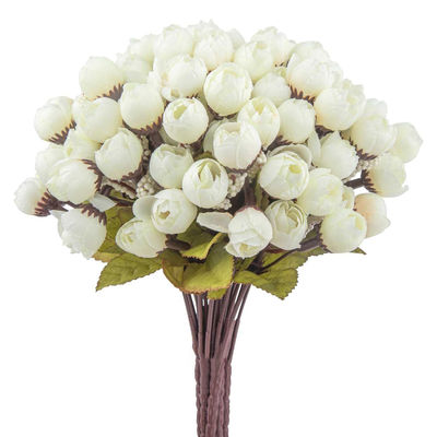 주문 미니 장미 싹과 별 싹 온라인 제조