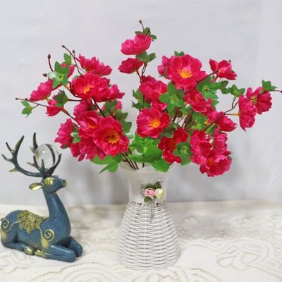 주문 결혼식, 촬영용품, 실내 및 실외 장식품 온라인 제조