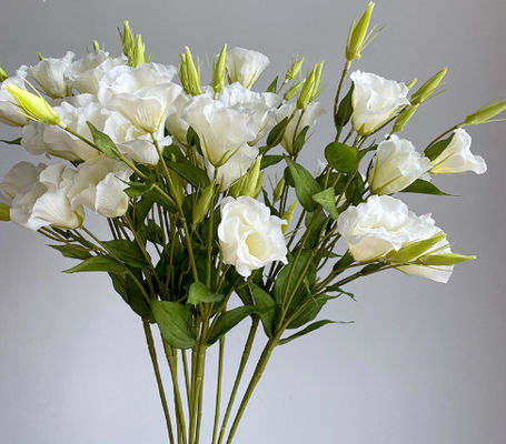 주문 3개의 시뮬레이션 캄파누라 꽃, 가정 장식 장식품, 실크 꽃, 사진 수비품, 결혼식 길잡이, 풍경, 가짜 꽃束 온라인 제조