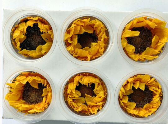 주문 보존 꽃 태양 꽃 낭만적인 발렌타인 데이 선물 손으로 만든 꽃다발 재료 온라인 제조