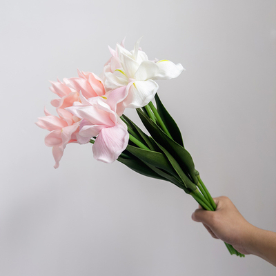 좋은 가격 시뮬레이션 꽃, 앨리스 PU 재료, 홍채 꽃 장식 장식품, 가구, 가짜 꽃, 대외 무역, 꽃 편곡, 손 느낌, 꽃 줄기 촬영 온라인으로